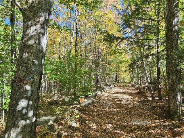 Land for sale in Wilton, Maine