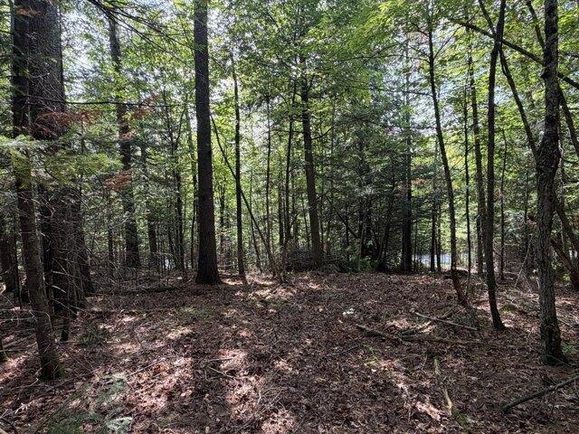 Land for sale in Farmington, Maine
