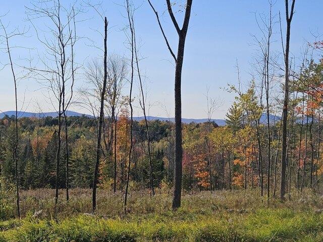 Land for sale in Farmington, Maine