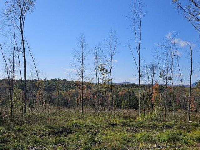 Land for sale in Farmington, Maine
