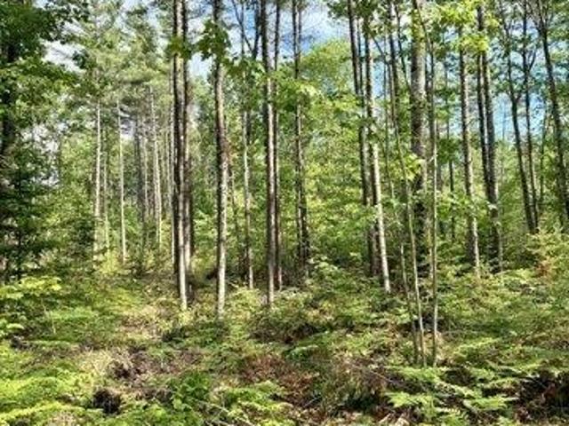 Land for sale in Farmington, Maine