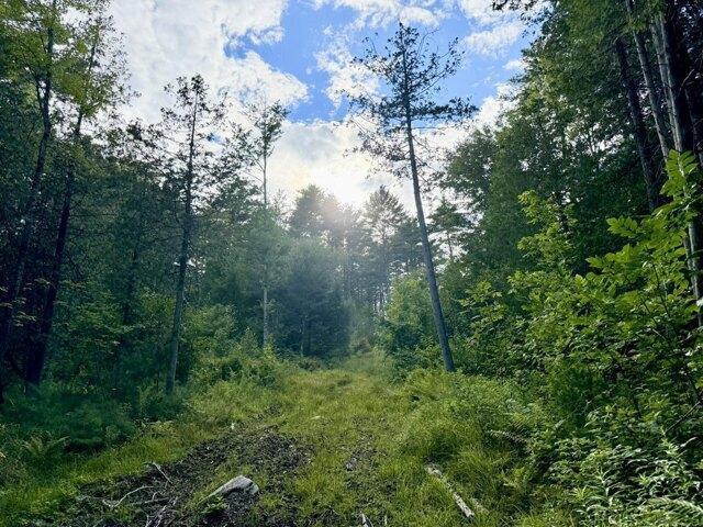 Land for sale in West Farmington, Farmington