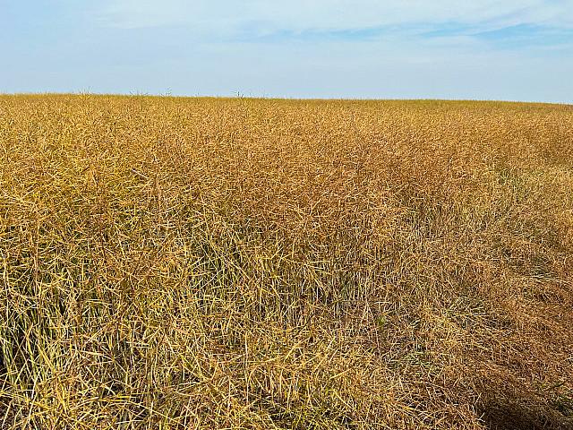 Land for sale in Antler, Saskatchewan