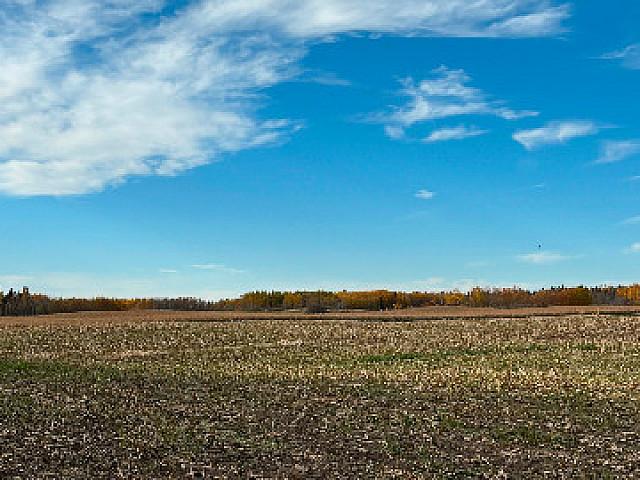 Land for sale in Stony Plain, Alberta