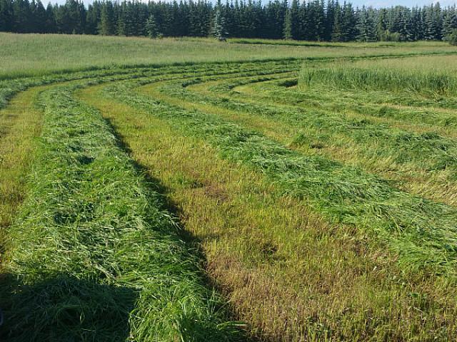 Land for sale in Alberta