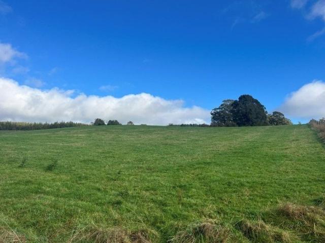 Cottage for sale in Mount Hicks, Tasmania