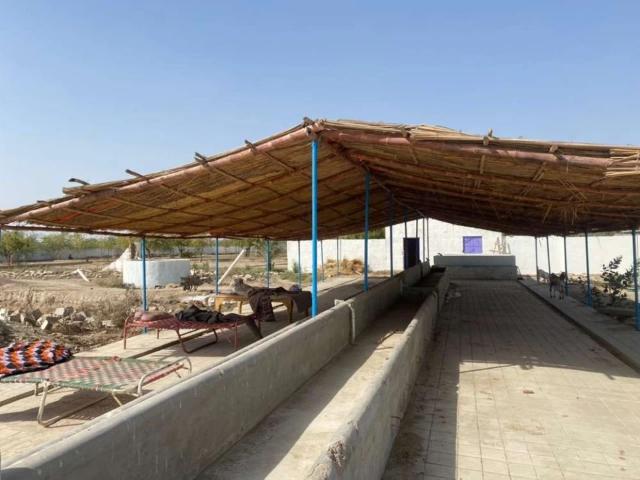 Commercial for rent in North Waziristan, Federally Administered Tribal Areas fata