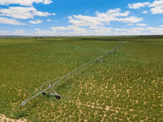 Farm for sale in New Mexico