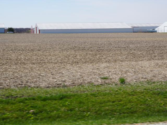 Farm for sale in Manhattan, Illinois