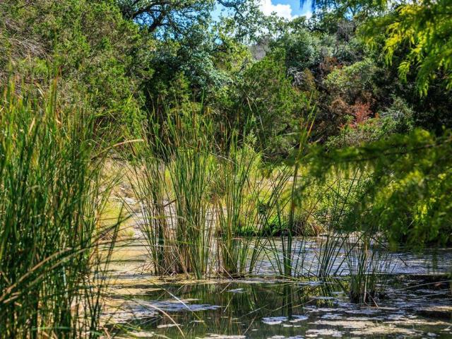 Farm for sale in Burnet, Texas