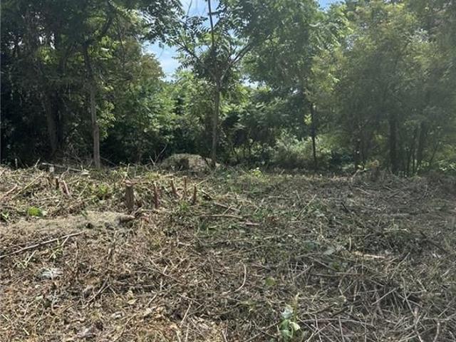 Farm for sale in Export, Pennsylvania