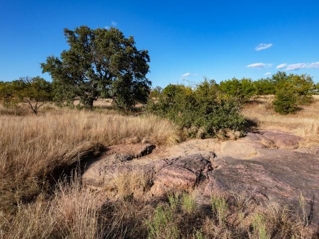 Farm for sale in Mason, Texas