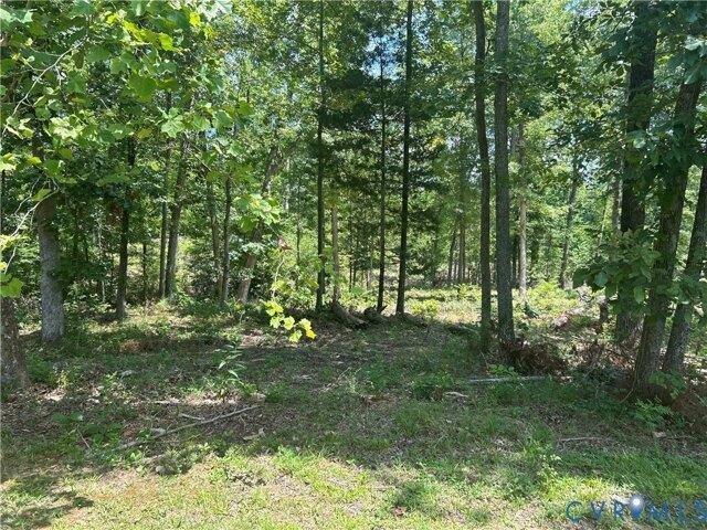 Land for sale in Farmville Land for sale in Farmville
