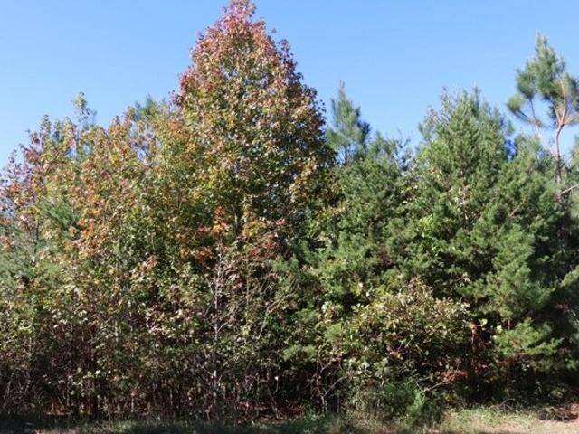 Land for sale in Virginia