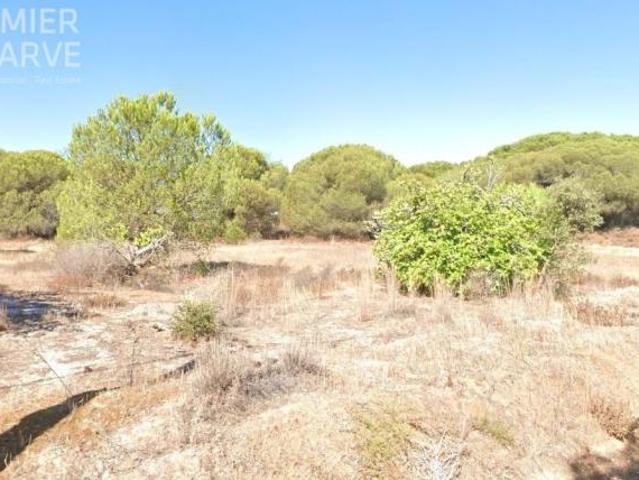 Terreno venda em Faro