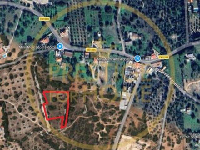 Terreno venda em Faro