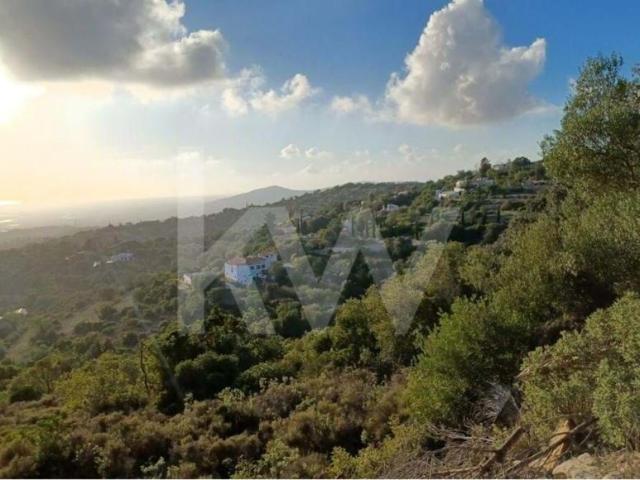 Terreno venda em Faro