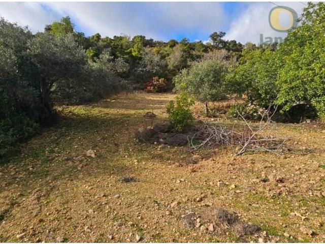 Terreno venda em Faro