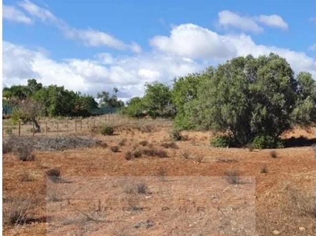 Terreno venda em Faro