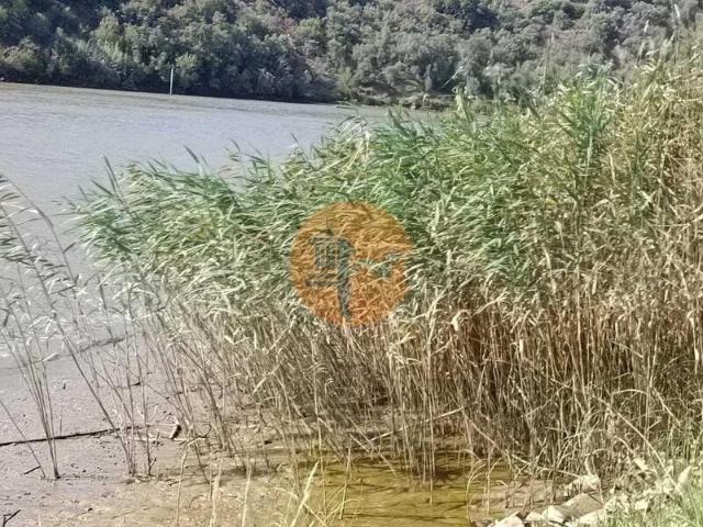 Terreno venda em Alcaria Queimada, Vaqueiros