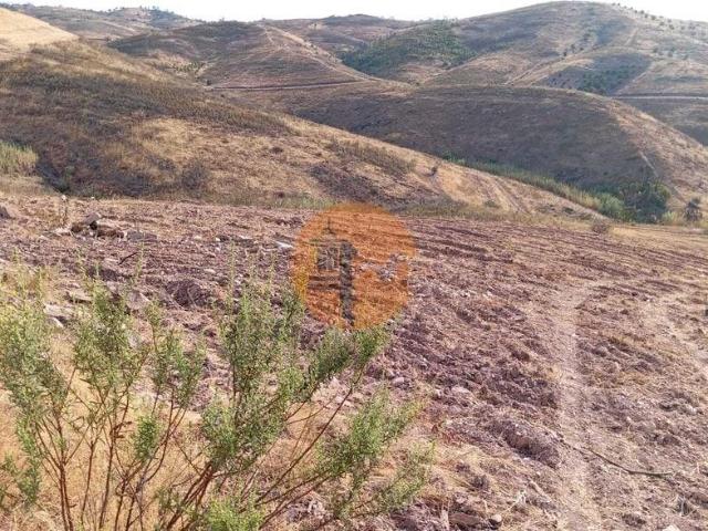 Terreno venda em Tavira, Faro