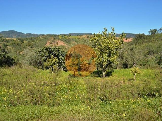 Terreno venda em Tavira, Faro