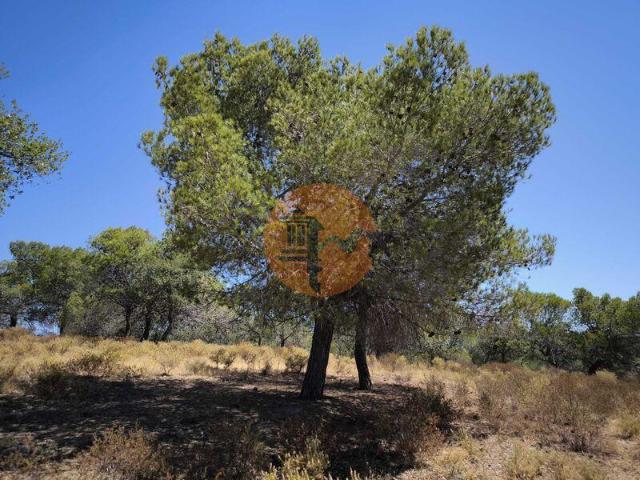 Terreno venda em Castro Marim, Faro