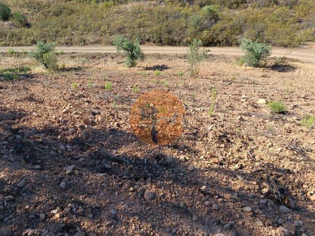 Terreno venda em Castro Marim, Faro