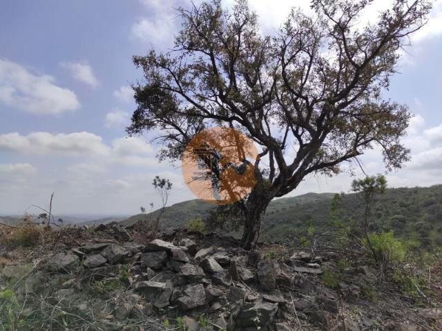 Terreno venda em Castro Marim, Faro