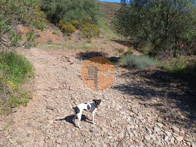 Terreno venda em Castro Marim, Faro