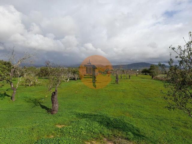 Terreno venda em Olhão, Faro
