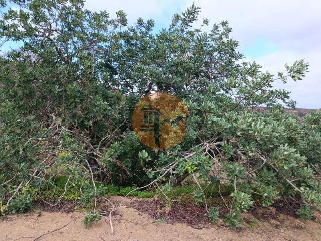 Terreno venda em Castro Marim, Faro