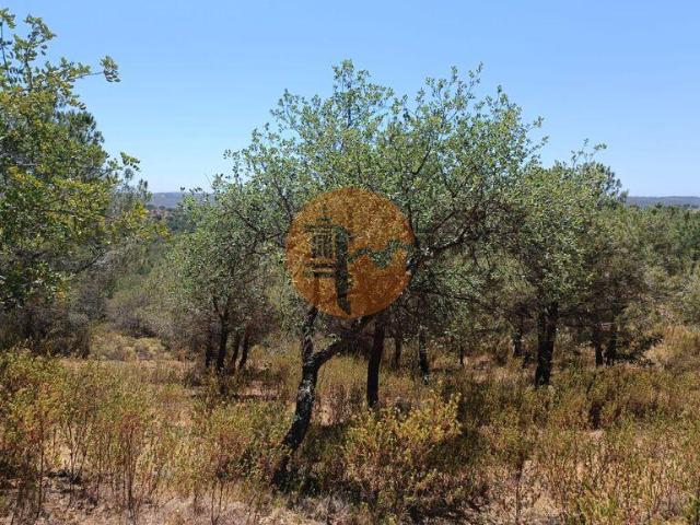 Terreno venda em Castro Marim, Faro