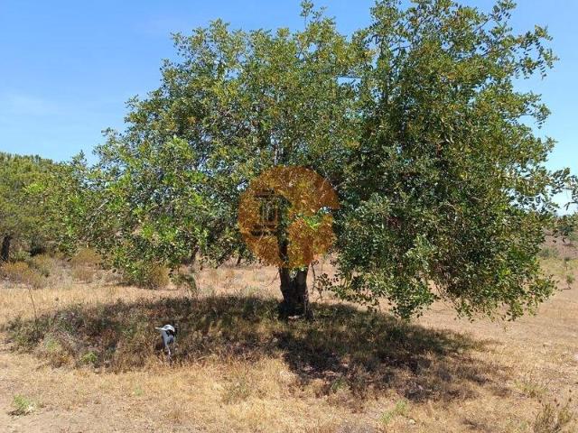 Terreno venda em Castro Marim, Faro