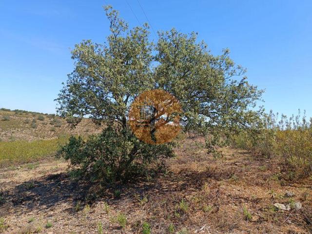 Terreno venda em Castro Marim, Faro