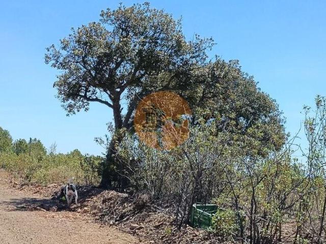 Terreno venda em Castro Marim, Faro
