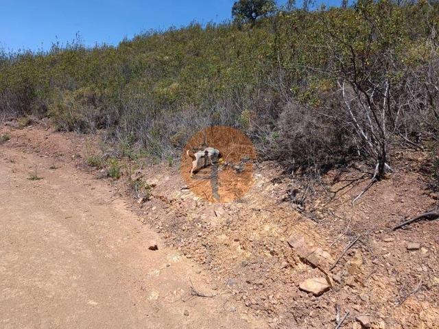 Terreno venda em Castro Marim, Faro