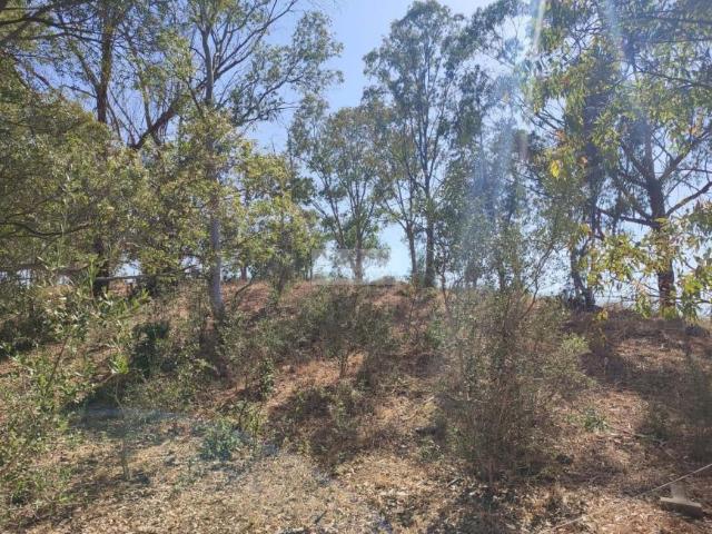 Terreno venda em Faro
