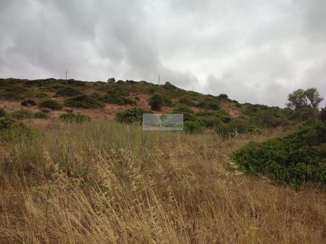 Terreno venda em Faro