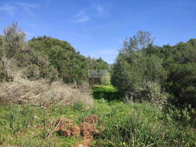 Terreno venda em Faro