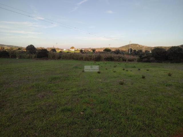 Terreno venda em Vila Do Bispo, Faro