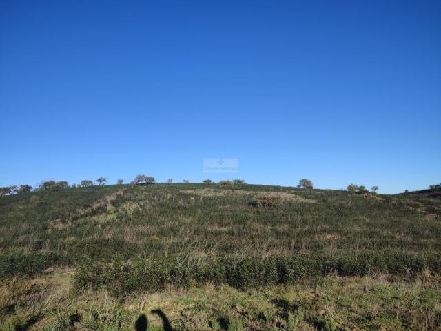 Terreno venda em Faro