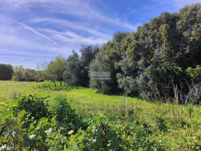 Terreno venda em Faro