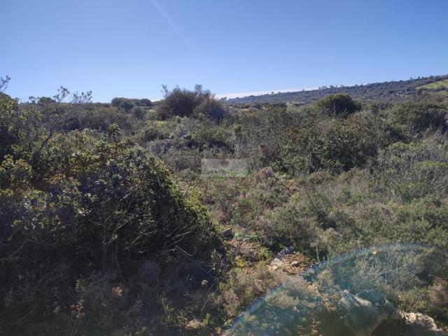 Terreno venda em Faro