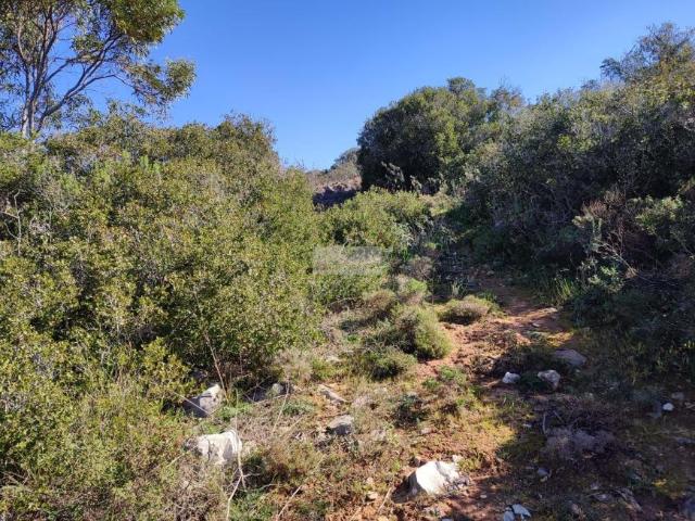 Terreno venda em Faro
