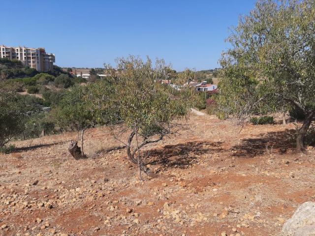 Terreno venda em Lagos, Faro