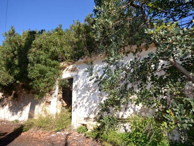 Terreno venda em Lagoa de Momprolé, Loulé