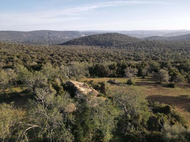 Terreno venda em Poço Geraldo, Loulé