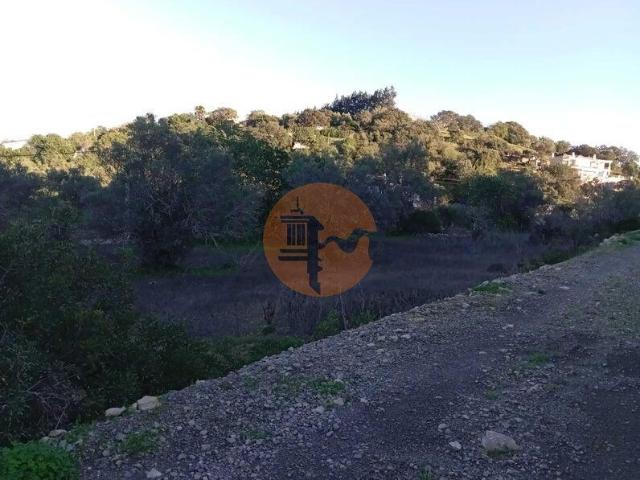 Terreno venda em São Brás De Alportel, Faro