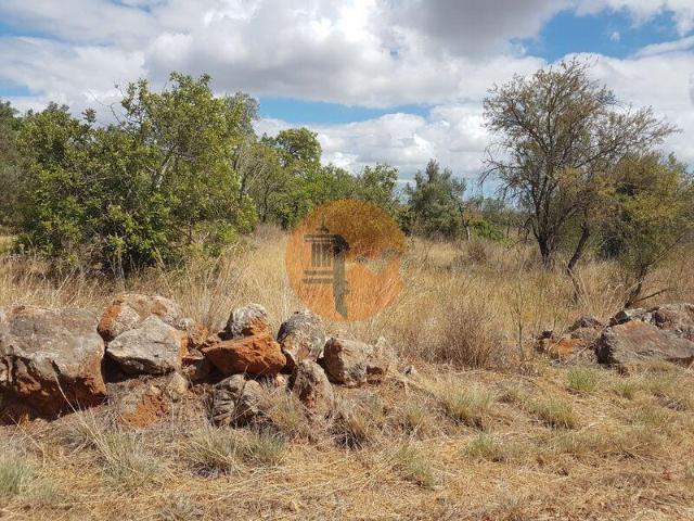 Terreno venda em Loulé, Faro
